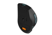 фото Мышь A4Tech Fstyler FB35C