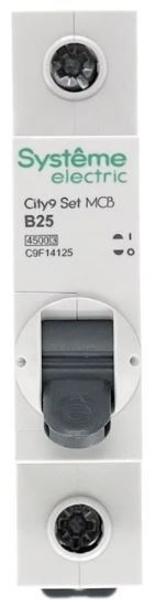 фото Автоматический выключатель  Systeme Electric C9F14125 в Омске