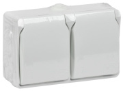 фото Розетка двухместная с заземлением  IEK ERS22-K01-16-54-DC