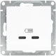 фото Розетка USB  EKF UP1-SOW-2USBC в Санкт-Петербургe