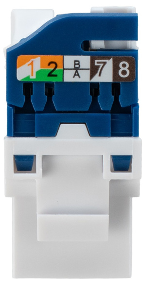 фото Модуль Keystone RJ45 UTP Filum FL-KJT-U5E-WT в Перми