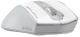 фото Мышь wireless A4Tech Fstyler FG55S Plus в Уфе