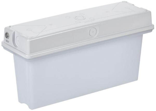 Изображение товара Светильник аварийный IEK LSSA0-1010-1-65-K01 для эвакуационного освещения