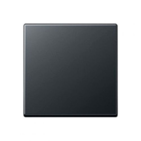 Изображение товара Клавиша Jung EP490AN для выключателя серия EcoProfi вертикальная монтаж