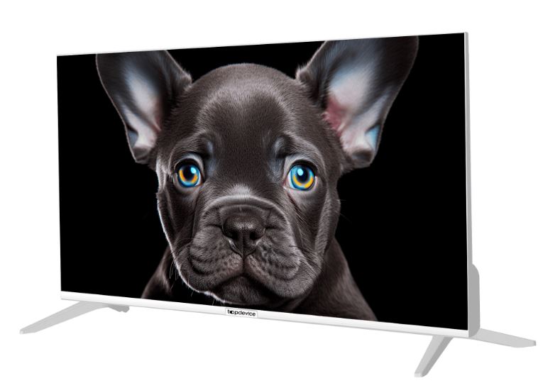

Телевизор TopDevice TDTV24CS08H_WE 24"/HD/VA/Smart SBER/Голосовой пульт/1-8 Гб/BT/60Гц/белый, TDTV24CS08H_WE