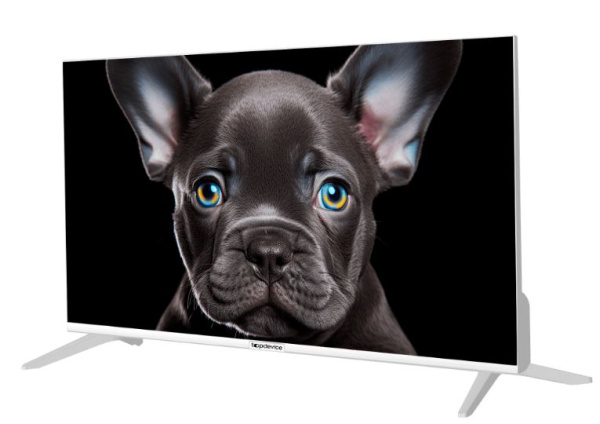 фото Телевизор TopDevice TDTV24CS08H_WE