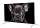 фото Телевизор TopDevice TDTV24CS08H_WE