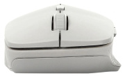 фото Мышь Rapoo M300