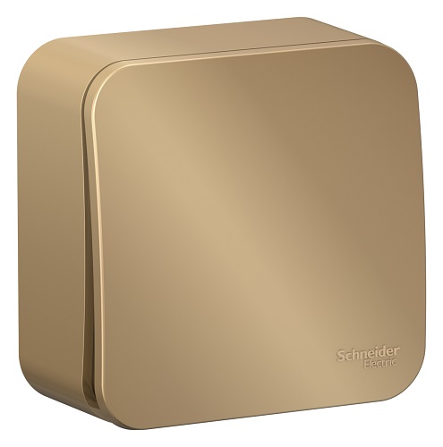 

Переключатель Schneider Electric BLNVA106014 1-клавишный 10А, 250B, изолир. пластина Титан наруж, BLNVA106014