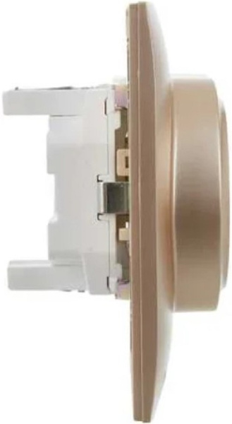 фото Розетка двухместная с заземлением в сборе IEK SK-R21-16-K98-F в Ростове-на-Дону