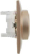 фото Розетка двухместная с заземлением в сборе IEK SK-R21-16-K98-F в Ростове-на-Дону