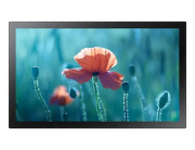 фото Интерактивная панель Samsung QB13R-T