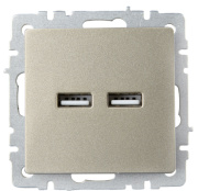 фото Розетка USB IEK BR-U21-D31-K37