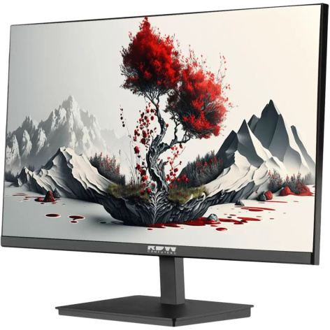 фото Монитор 23,8" RDW Computers RDW2401K в Омске