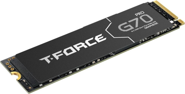 фото Накопитель SSD M.2 2280 Team Group T-FORCE G70 PRO в Омске 1000 ГБ