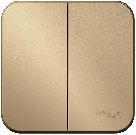 

Выключатель Schneider Electric BLNVA105014 2-клавишный 10А, 250B, изолир. пластина Титан наруж, BLNVA105014