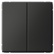 фото Выключатель двухклавишный Systeme Electric GAL001417S