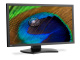 фото Монитор 31,1" NEC PA311D