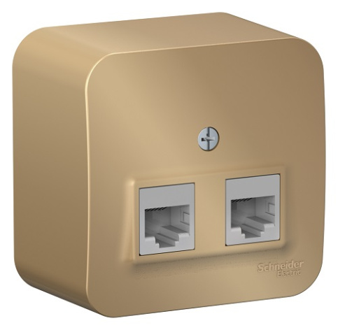 фото Розетка  Systeme Electric BLNIA045454 в Волгограде