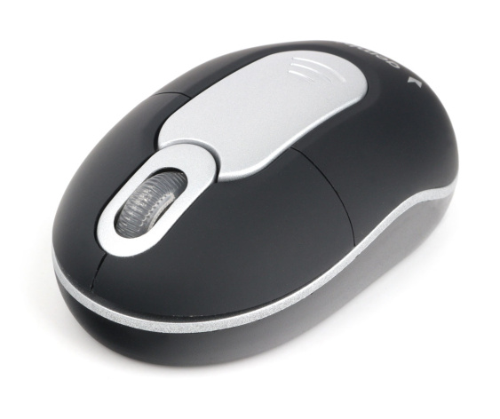 фото Мышь Wireless Gembird MUSW-600 в Самаре