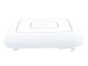 фото Точка доступа  D-link DAP-300P/A1A в Челябинске