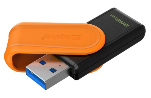 фото Накопитель USB 3.2 256GB Kingston DTXS/256GB в Перми