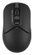 фото Мышь Wireless A4Tech Fstyler FG12S в Казани