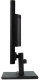 фото Монитор 17" Acer V176Lb в Санкт-Петербургe