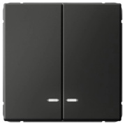 фото Выключатель двухклавишный  Systeme Electric GAL001451