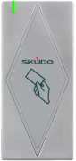 фото Считыватель Skudo SK-RM200EHM