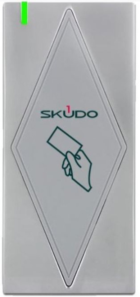 фото Считыватель  Skudo SK-RM200EHM в Казани