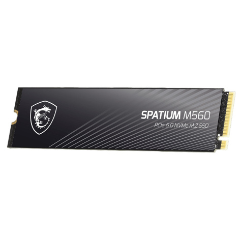 фото Накопитель SSD M.2 2280 MSI SPATIUM M560 в Уфе 1000 ГБ