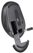 фото Мышь Defender Auris MB-027