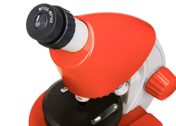 фото Микроскоп  Levenhuk Discovery Micro Terra в Санкт-Петербургe