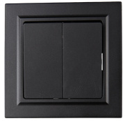 фото Выключатель двухклавишный в сборе  IEK BR-V20-0-10-K02-F