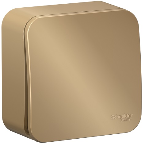 

Выключатель Schneider Electric BLNCA101014 1-клавишный с самовозвратом, 10А, 250В, изолир. пластина Титан наруж, BLNCA101014