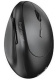 фото Мышь Wireless Genius Ergo 8350S в Ростове-на-Дону
