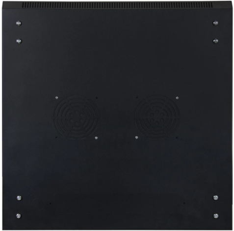 фото Шкаф настенный 19", 15U SNR SNR-TWC-15-SF-R-BD в Уфе