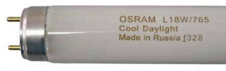 фото Лампа люминесцентная LEDVANCE L 18W/765 G13 в Красноярске