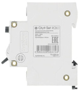 фото Автомат Systeme Electric C9D51616