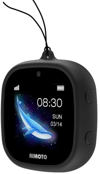 фото Часы  Aimoto Crystal 4G в Санкт-Петербургe