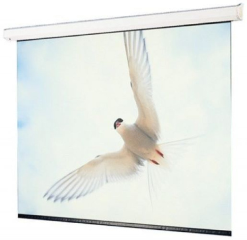 фото Экран  Draper Targa 244/96" (8') HCG в Уфе