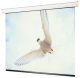 фото Экран  Draper Targa 244/96" (8') HCG в Уфе