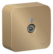 фото Розетка Systeme Electric BLNTA000014