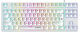 фото Клавиатура  Defender Ivory GK-579 в Омске