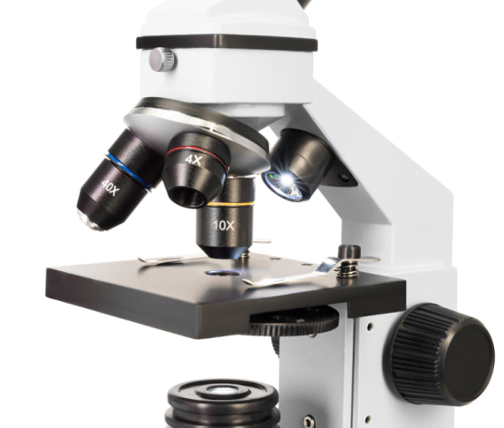 фото Микроскоп  Levenhuk Rainbow 2L PLUS в Санкт-Петербургe