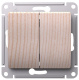 фото   Systeme Electric GSL001551 в Казани