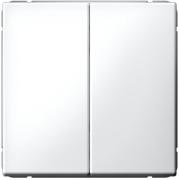 фото Выключатель двухклавишный кнопочный  Systeme Electric GAL000117