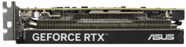 фото Видеокарта ASUS GeForce RTX 5060 LP BRK OC (RTX5060-O8G-LP-BRK) в Екатеринбурге