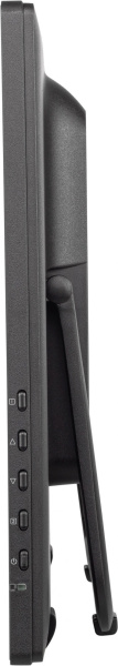 фото Монитор 23,8" Iiyama ProLite T2455MSC-B1 в Красноярске